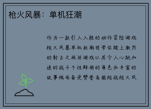 枪火风暴：单机狂潮